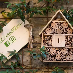  Ferienhaus La Corte Di Zizi Italien